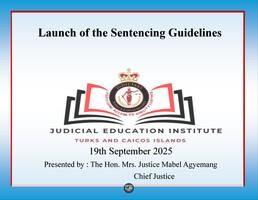 Launch of the Sentencing Guidelines